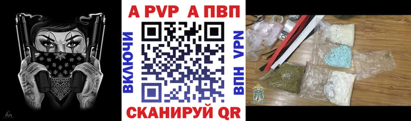 A PVP СК КРИС Владикавказ